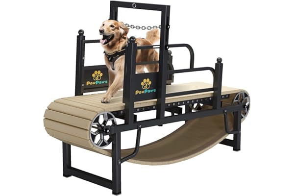 DogtreadmillReview