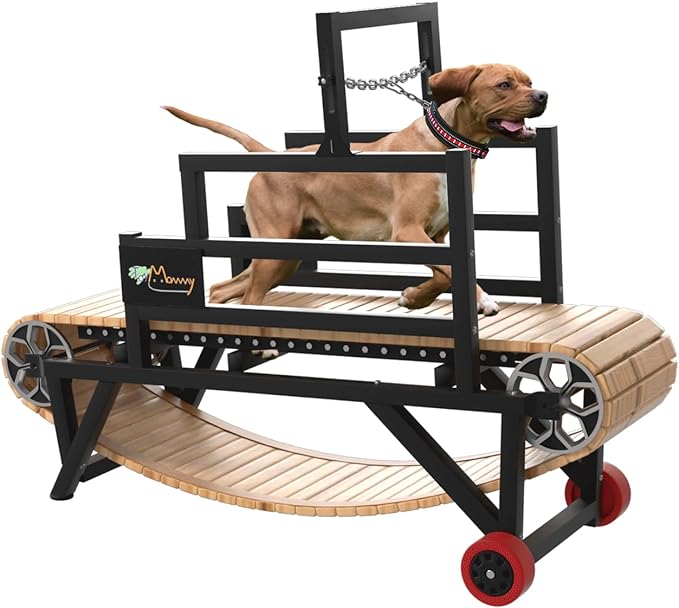 Dog Treadmills Review 