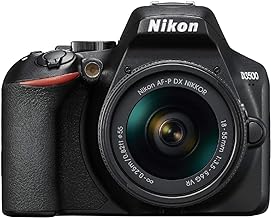 Nikon D3500 review