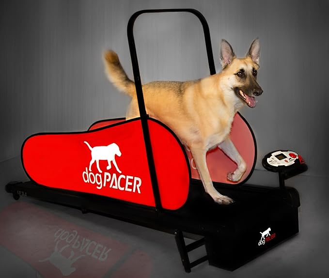 dogPACERLF4.0Smart ElectricDogTreadmillreview