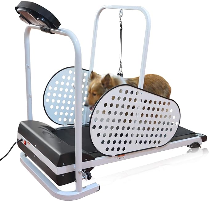 GOPETDogTreadmillreview