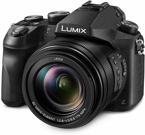 Panasonic LUMIX FZ2500 Camera Review