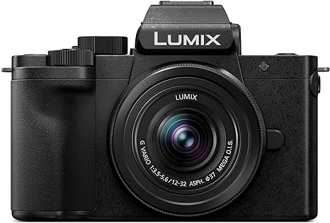 Panasonic LUMIX G100 Camera Review