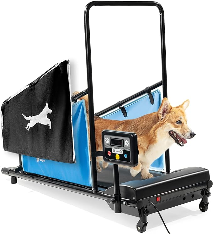 dogtreadmillreview