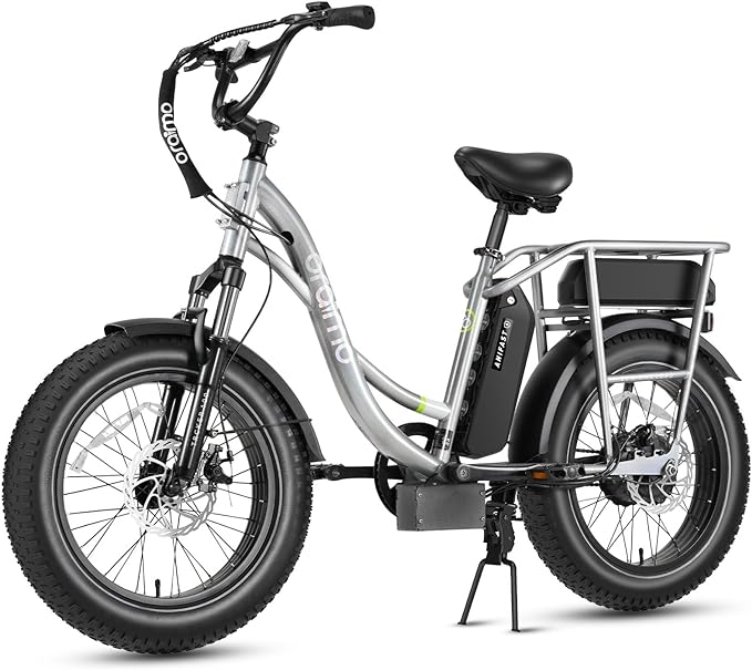 oraimo electric bike